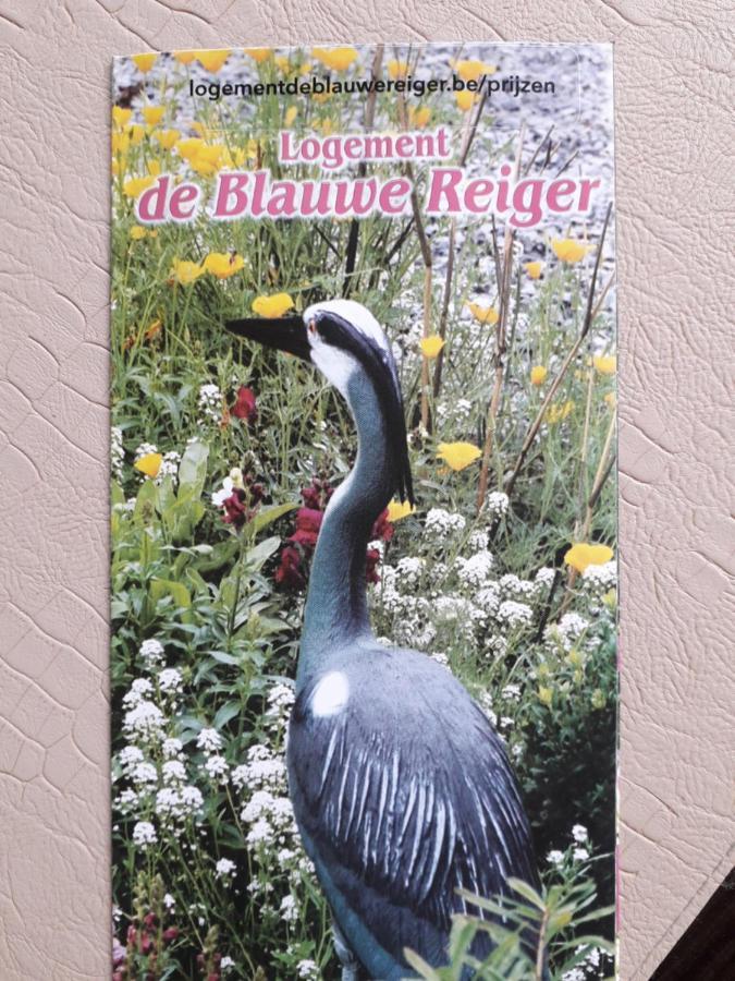 Logement De Blauwe Reiger Voeren Esterno foto